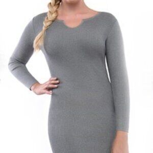 NWT Casual Fitted Sweater Mini Dress Gray Medium